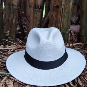 Sombrero brisa